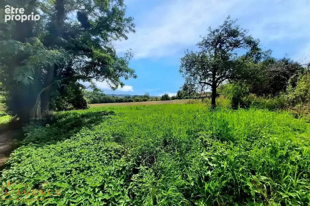 Terrain à QUINCY-VOISINS