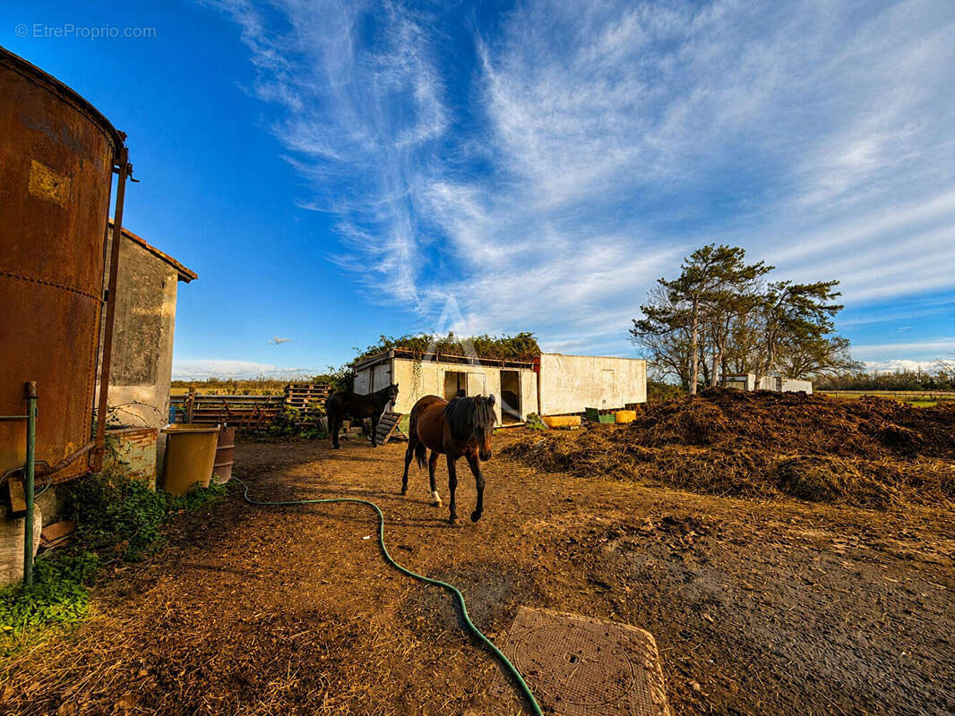 Domaine de Provence (Mas Arles) - photo 10