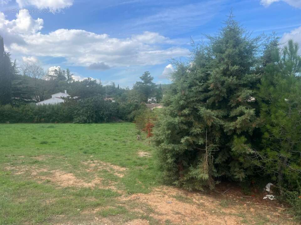 Terrain à SAINT-MARTIN-DE-CRAU