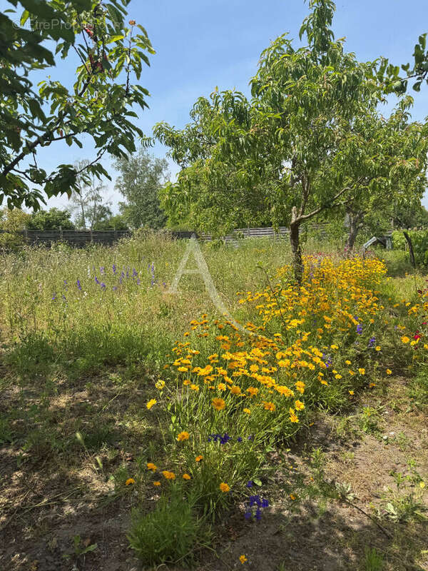 Maison à ROMORANTIN-LANTHENAY