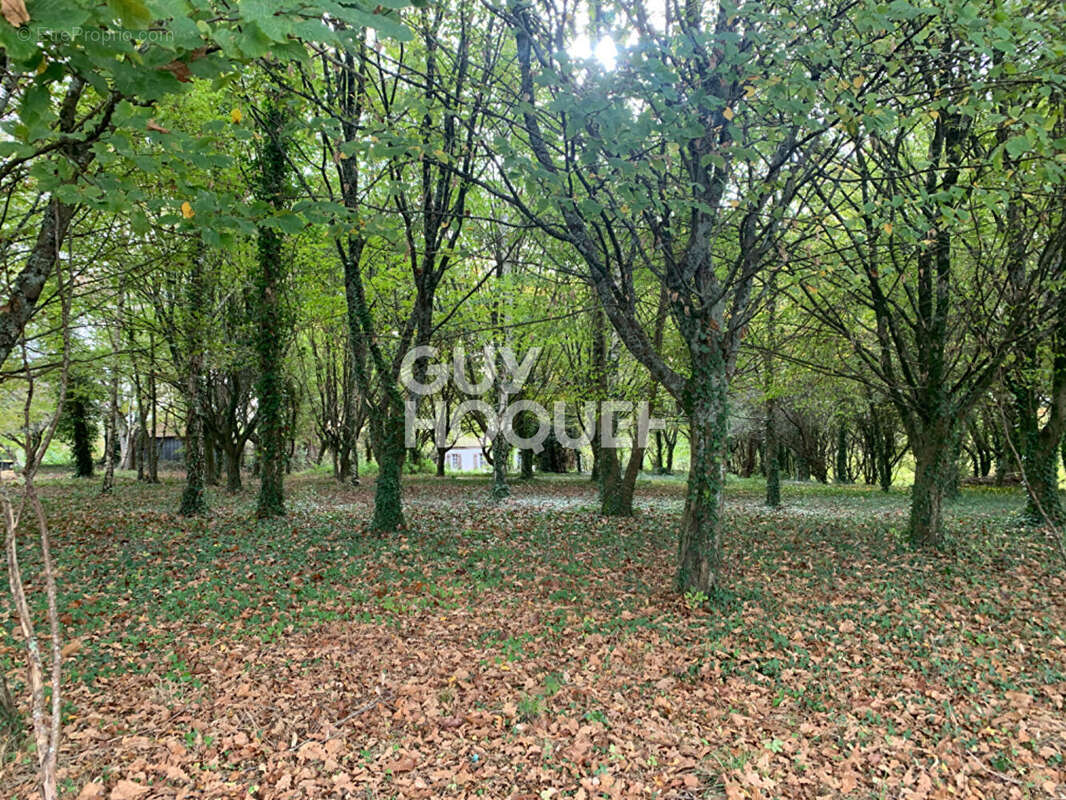 Maison à CASTILLON(CANTON D&#039;ARTHEZ-DE-BEARN)