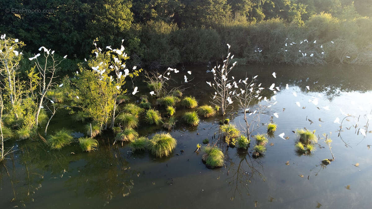 Domaine de Chasse et de Pêche d'Exception - Un Écrin de Nature et de Tranquillité - photo 13