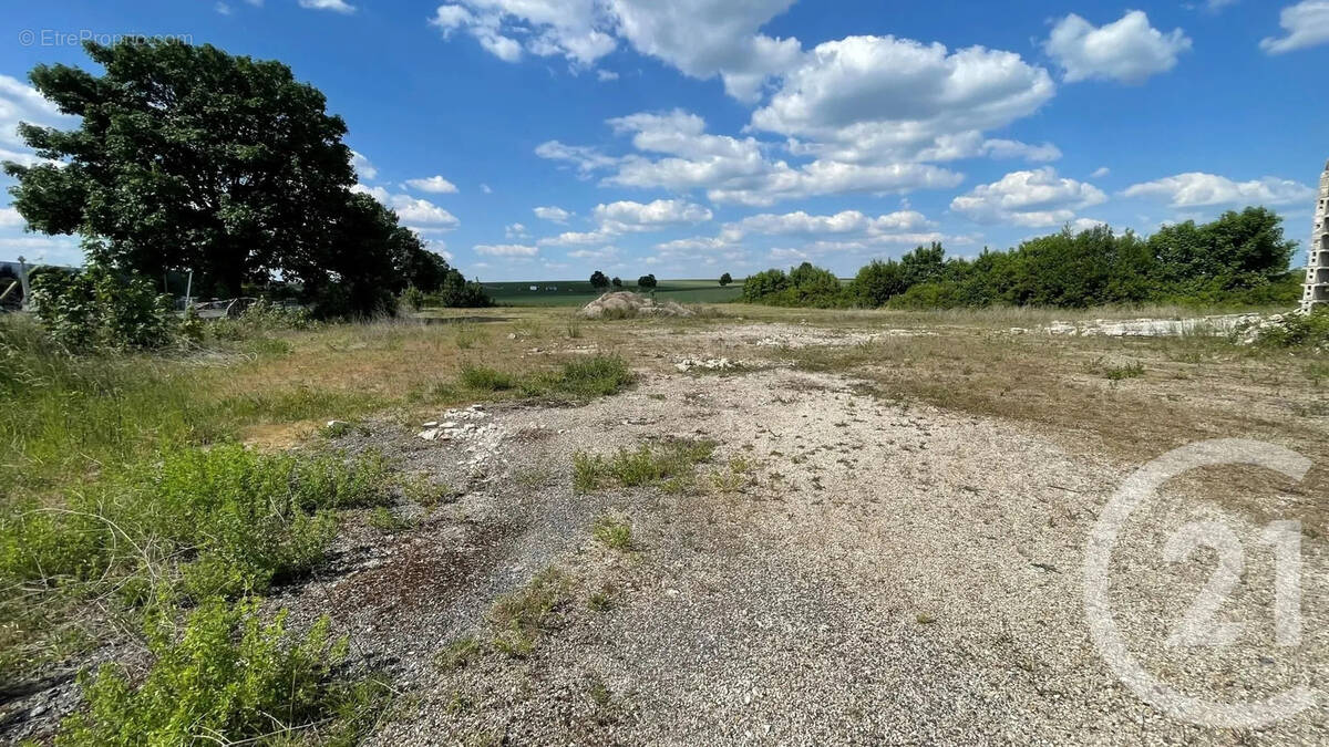 Terrain à LES GRANDES-LOGES