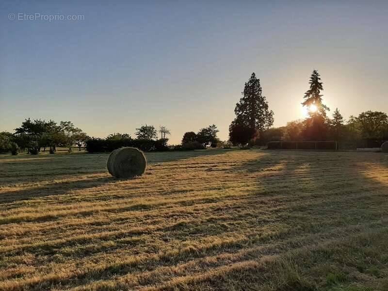 Terrain à CROTELLES