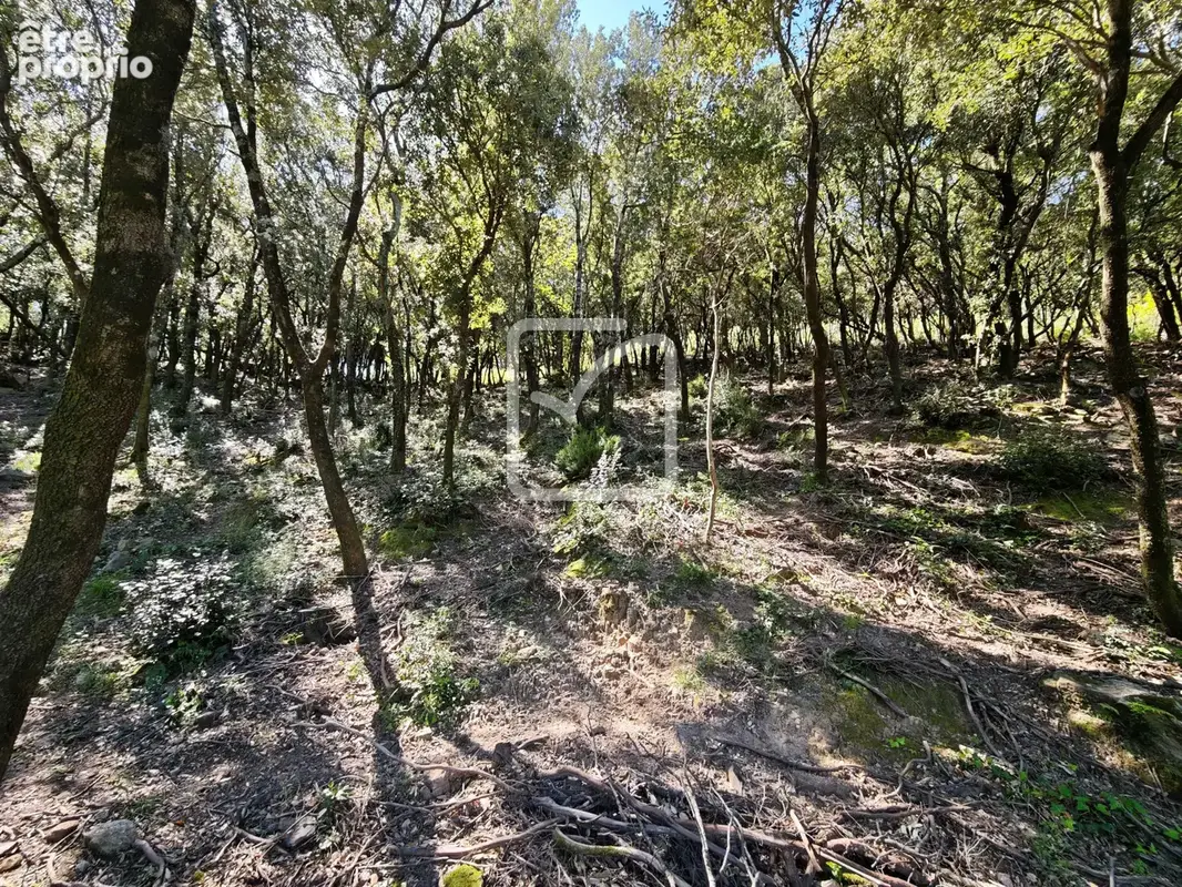 Terrain à SOREDE