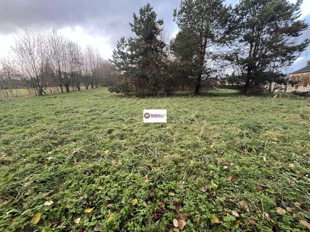 Terrain à COURTOMER