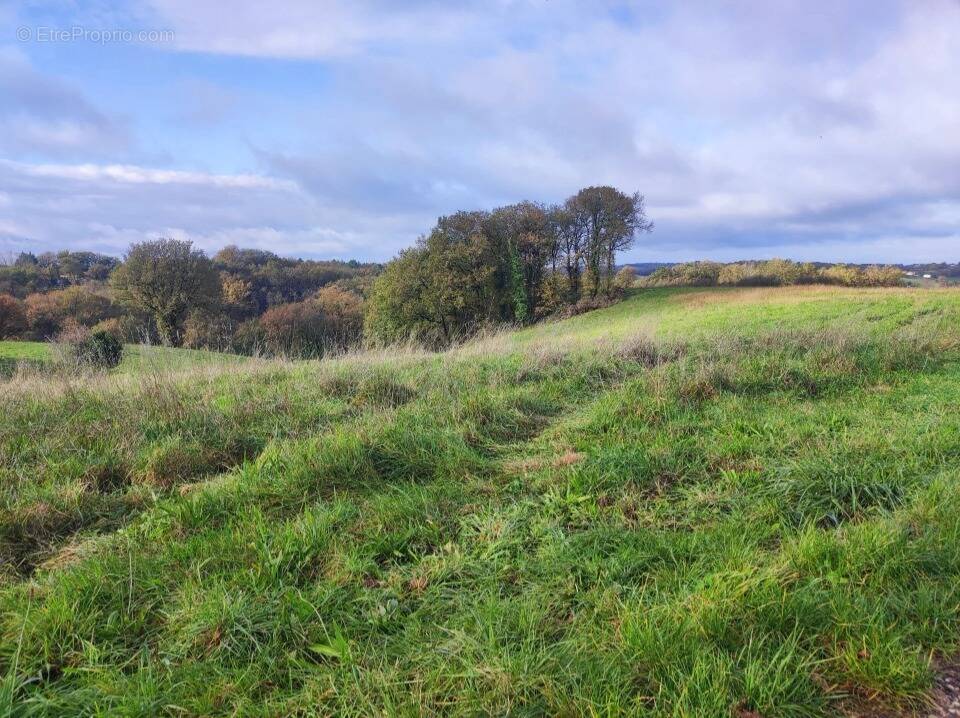 Terrain à DENAT