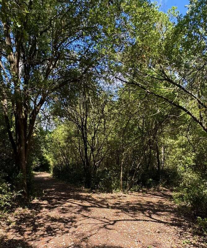 Maison à CARCASSONNE