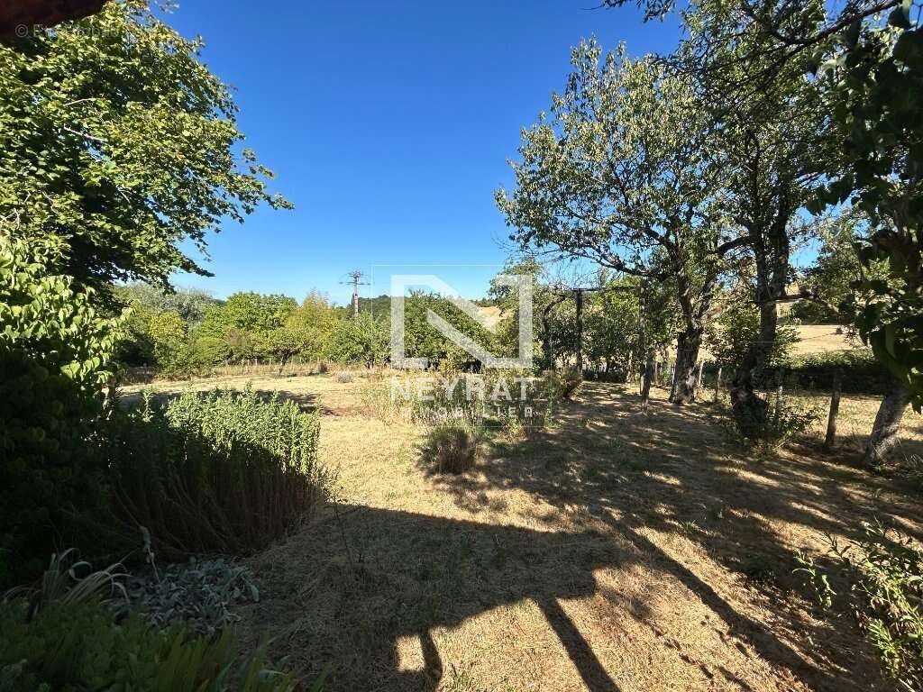 Grande maison en pierres avec jardin et dépendances - photo 3