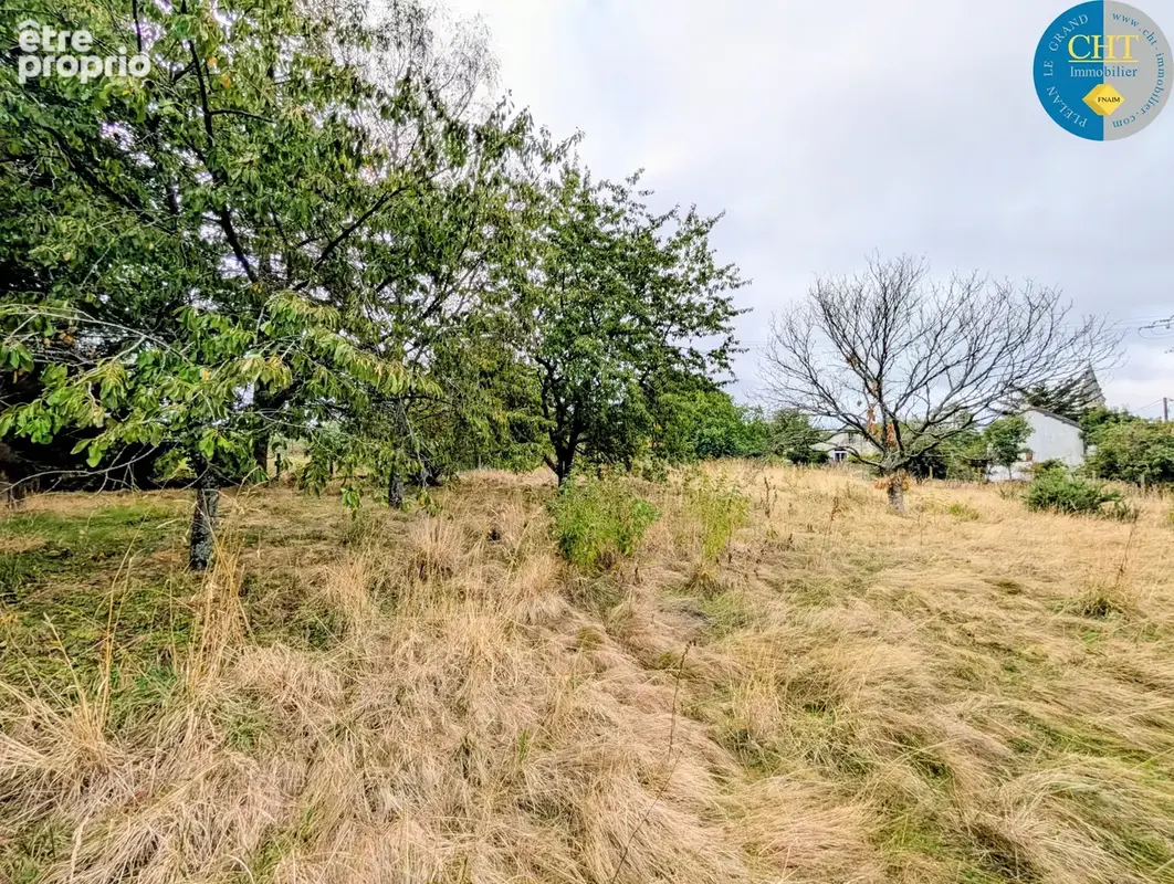 Terrain à bâtir viabilisé de 500 m2 à plélan-le-grand (35380) avec cht immobilier - photo 2