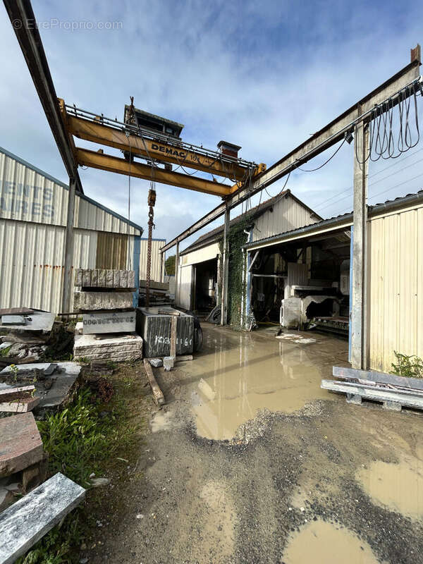 Commerce à SAINT-GERMAIN-EN-COGLES
