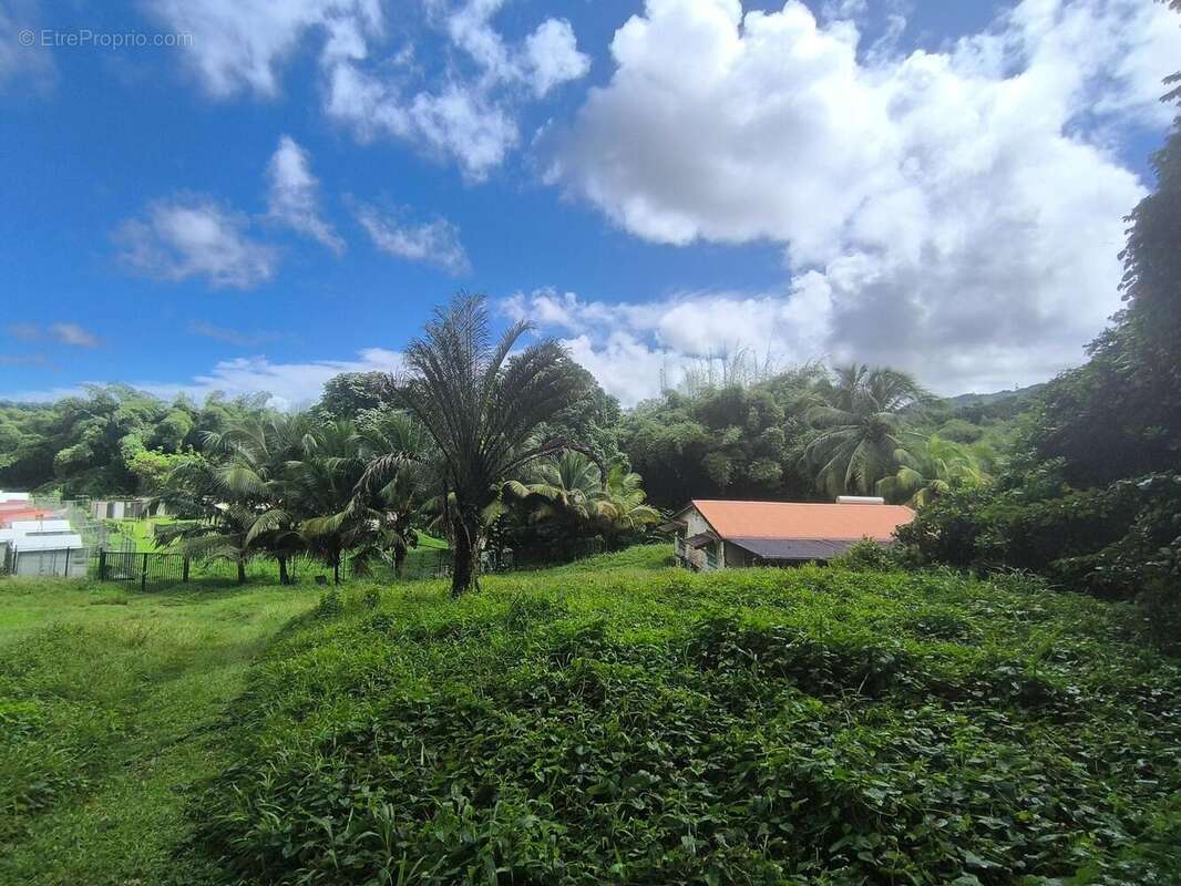 Photo 7 - Maison à GROS-MORNE