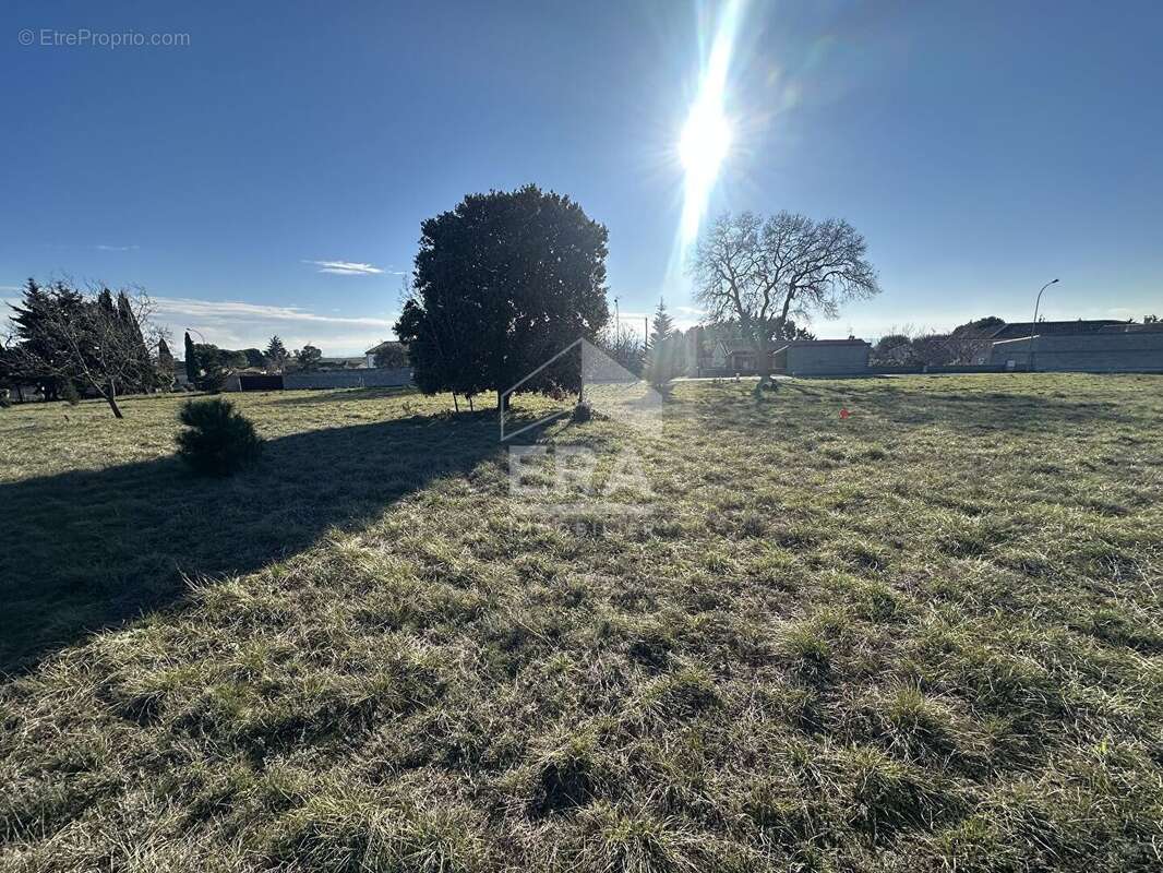 Terrain à MOUSSOULENS