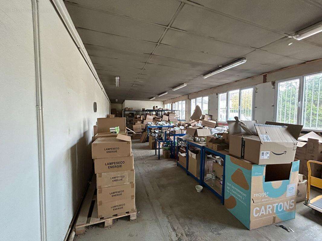 Commerce à NEXON