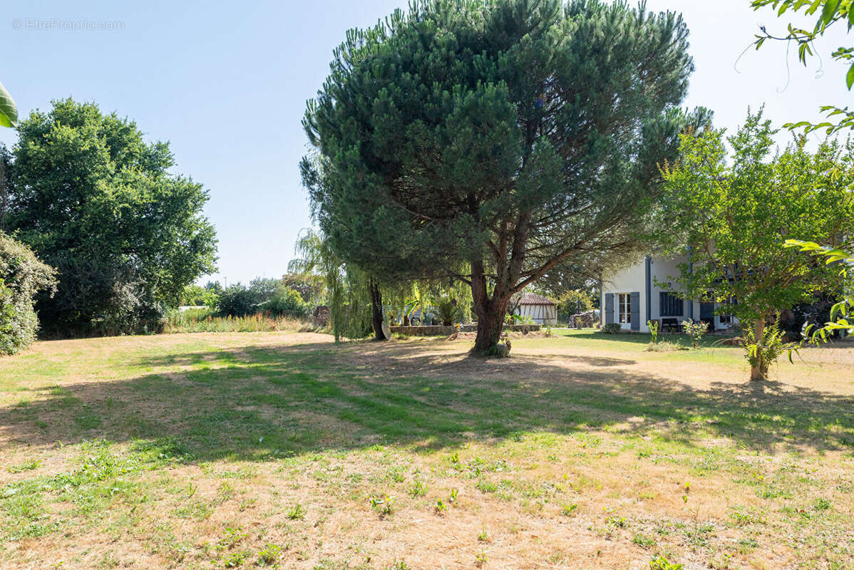 Maison à SAINT-JUSTIN