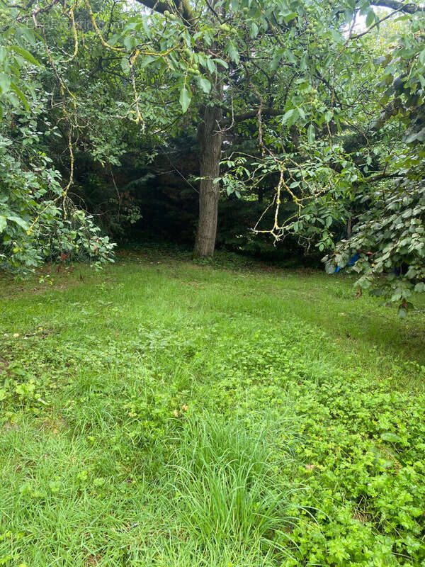 Terrain à BETHEMONT-LA-FORET