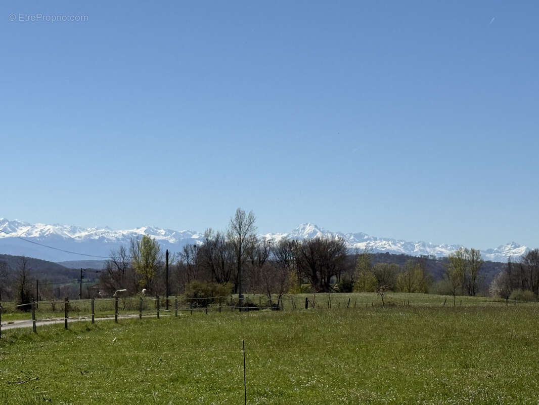 Maison à BOULOGNE-SUR-GESSE
