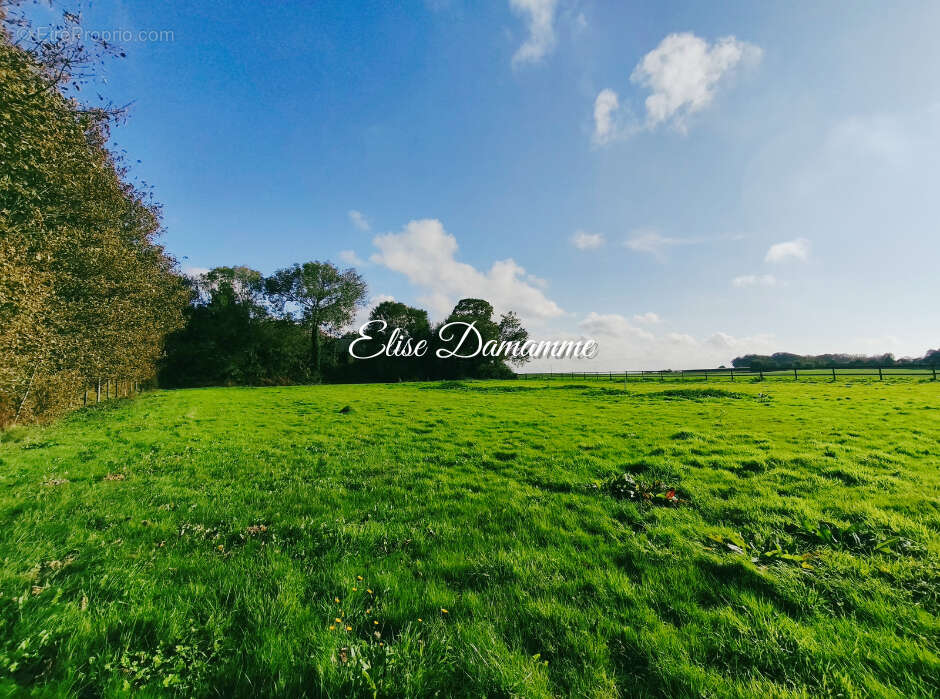 Maison à SAINT-JOUIN-BRUNEVAL