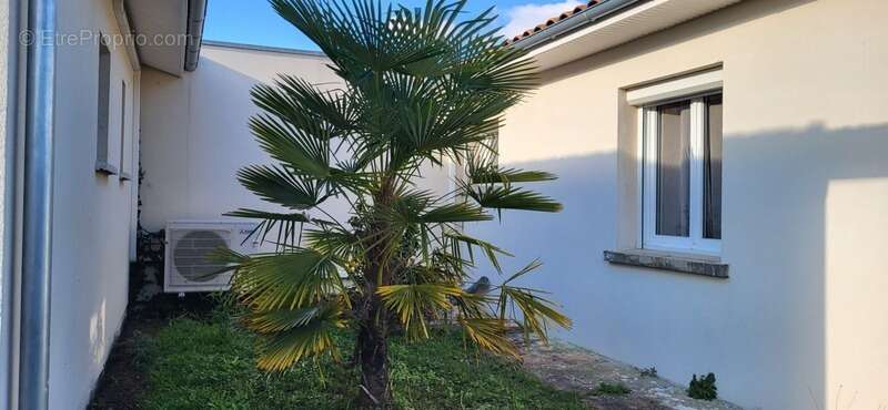 Maison à SAINT-ANDRE-DE-CUBZAC