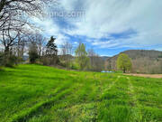 Terrain à SAINT-PAUL-EN-CORNILLON