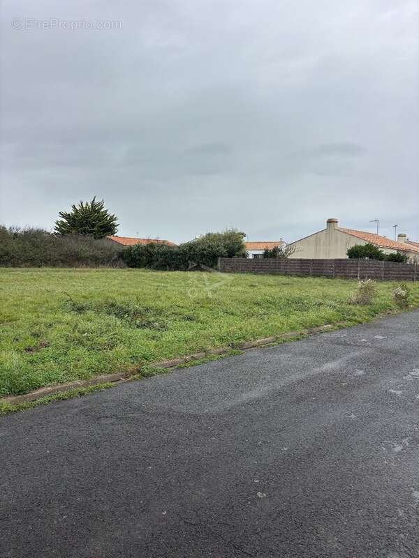 Terrain à SAINT-HILAIRE-DE-RIEZ