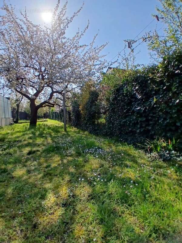 Maison à CARRIERES-SUR-SEINE