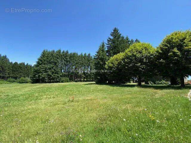 Maison à SAINT-DIDIER-EN-VELAY