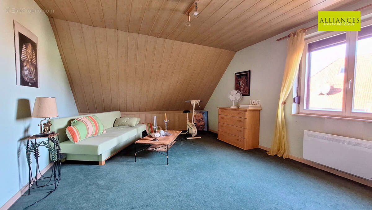 Maison à DANNEMARIE