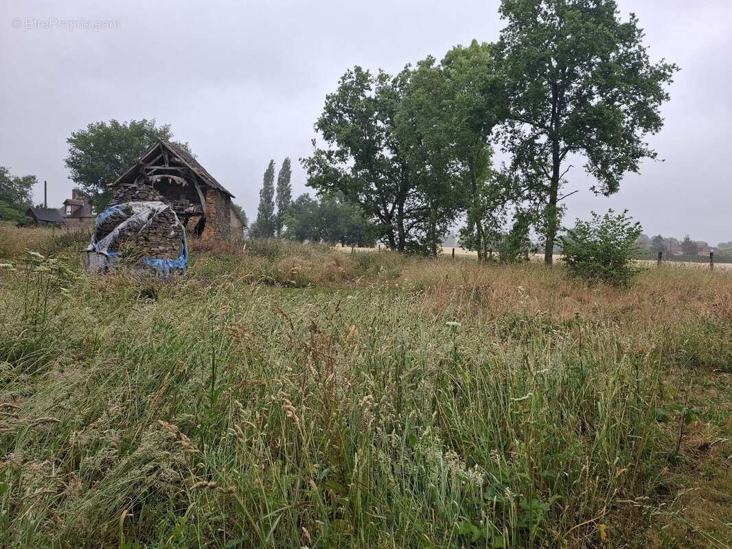 Terrain à ASSE-LE-BOISNE