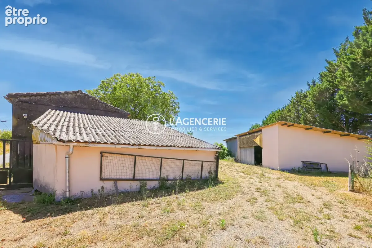 Commerce 110 m² à Denat  - photo 2