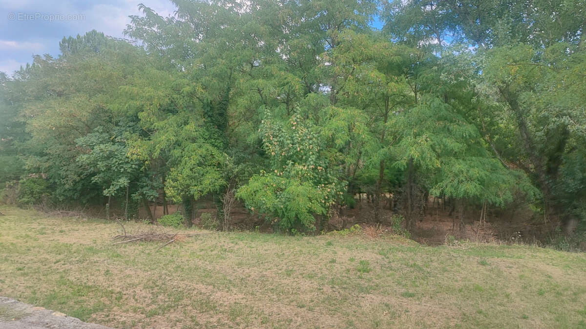 Terrain à JOYEUSE