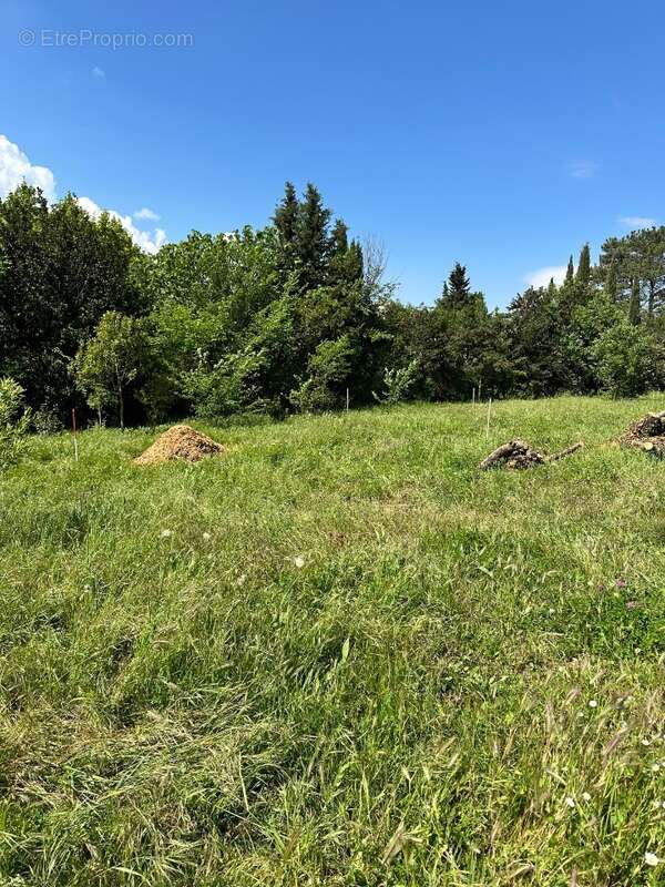 Terrain à LES PENNES-MIRABEAU