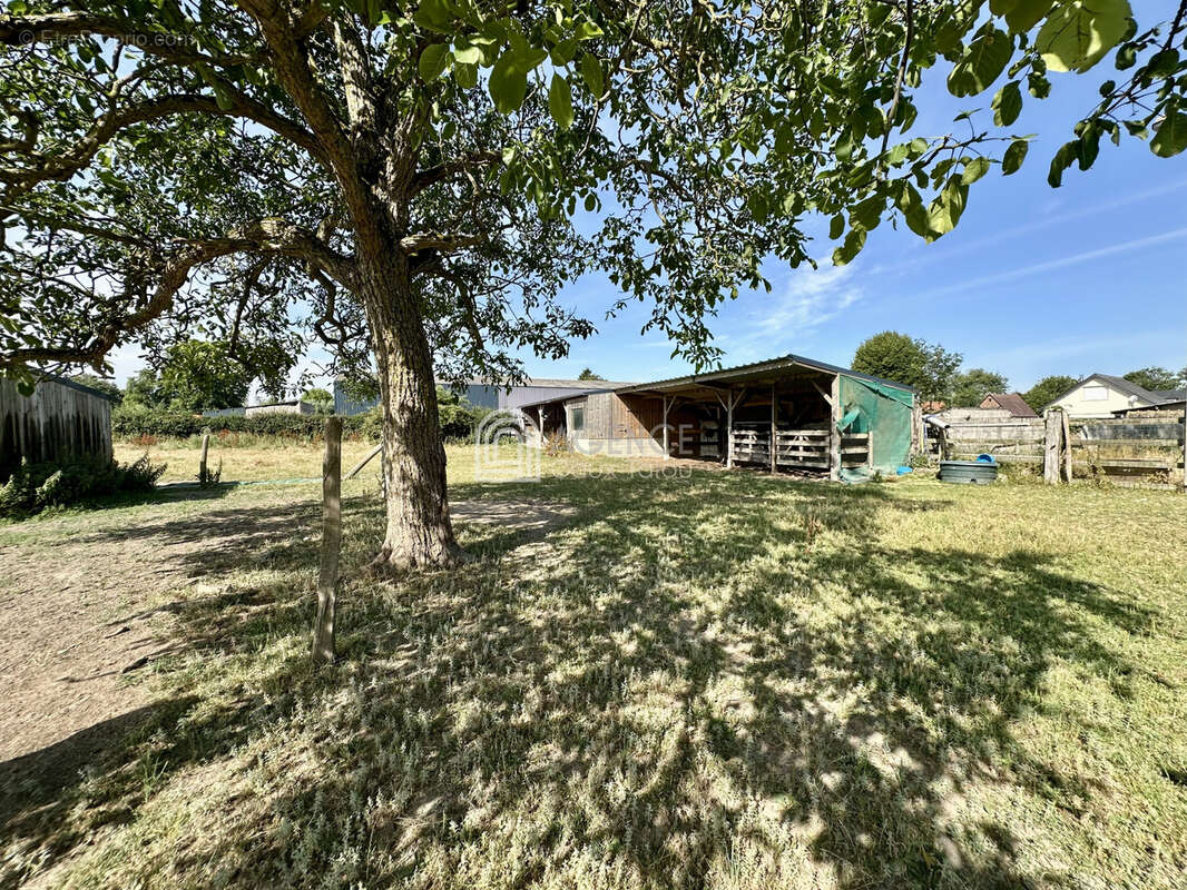 Bien atypique avec habitation et bâtiment agricole sur 2,07 hectares   PREUSEVILLE - photo 12