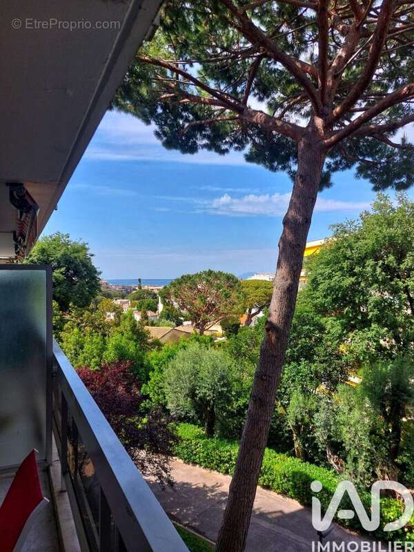 Photo 3 - Appartement à ANTIBES