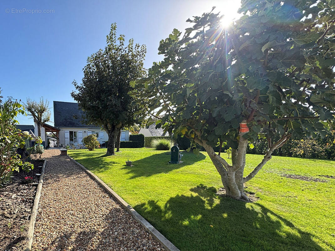 Maison à CHATEAUNEUF-SUR-SARTHE