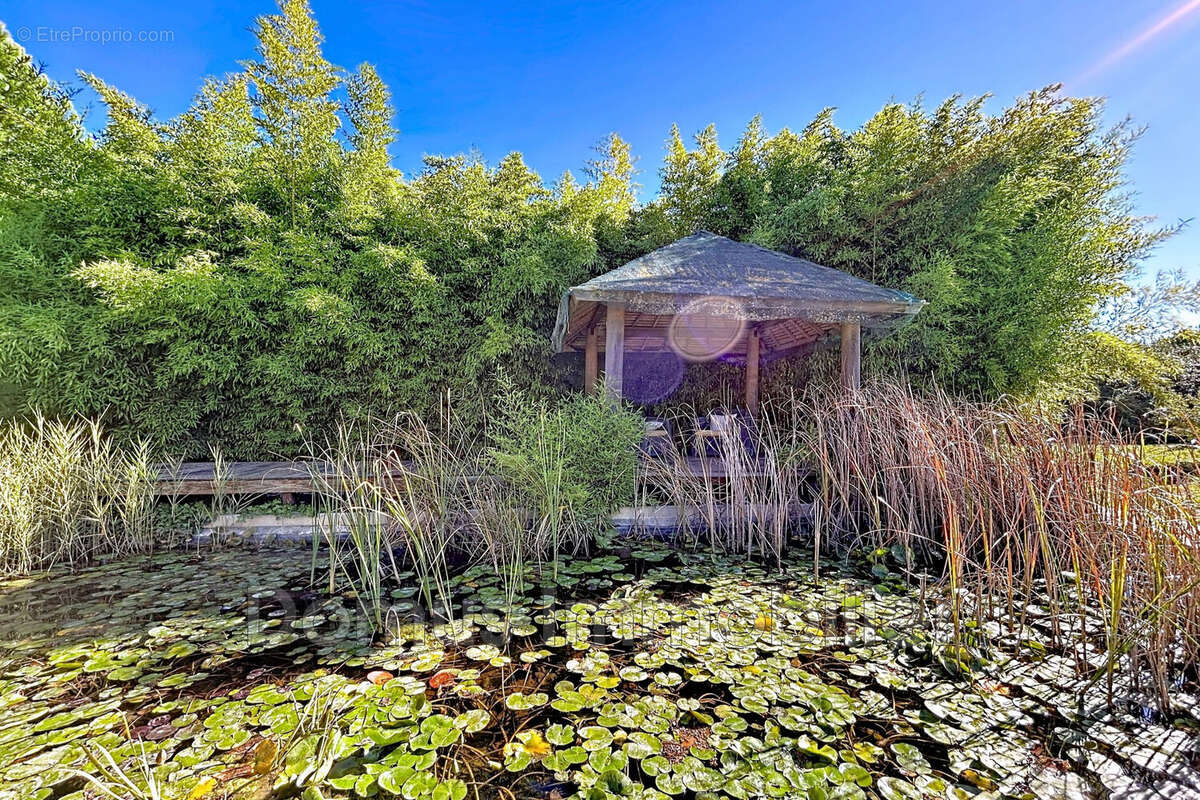 Maison à ALTHEN-DES-PALUDS