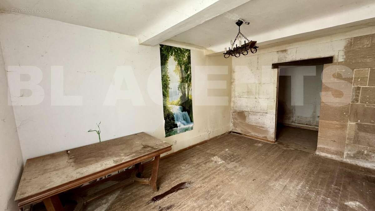 IMG_6843 - Maison à TREMONT-SUR-SAULX