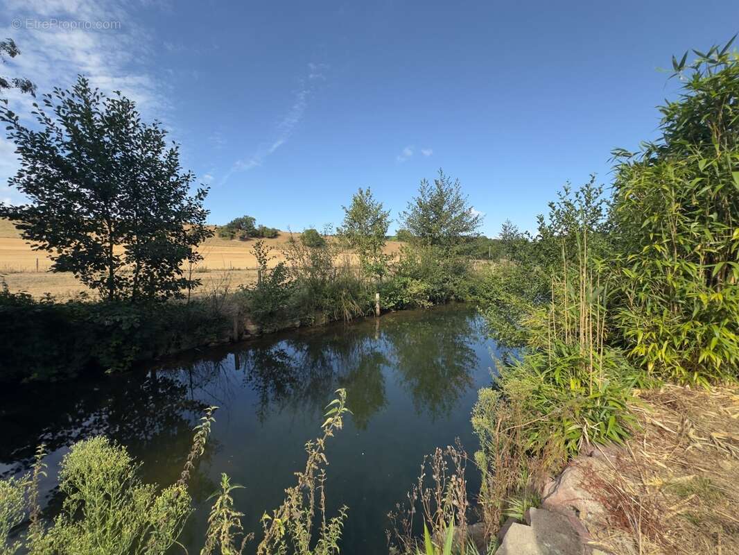 Maison 6 pièces avec terrain de 4 700 m² – Bord de rivière, belle vue sur la campagne – Bretteville-sur-Laize (14) - photo 2