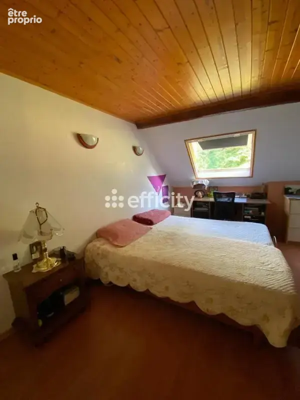 Maison 13 pièces 236 m² à vendre à Saint-Laurent-Du-Pont (38380) - photo 8