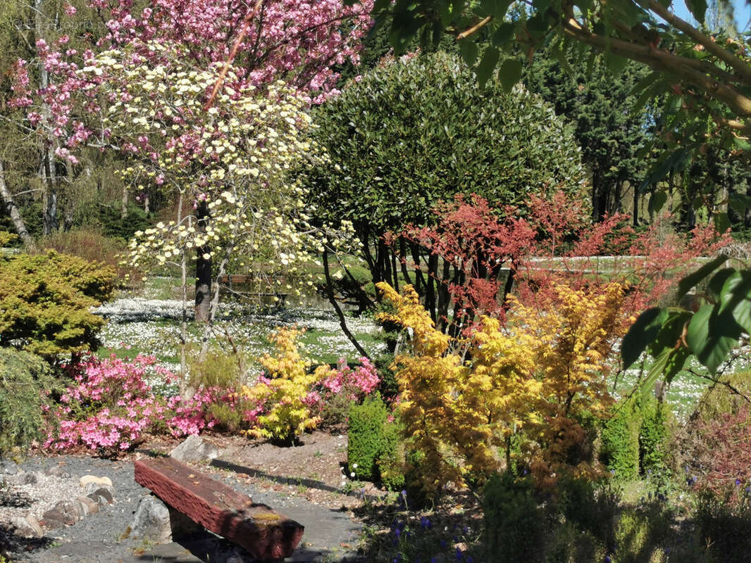 Maison à ROMORANTIN-LANTHENAY