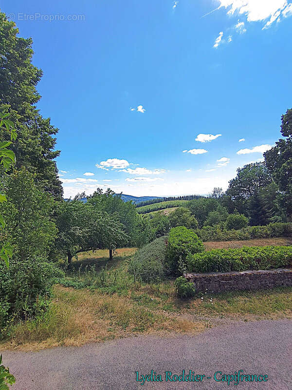 Fermette 10 pièces - grande grange - Rare à SAINT VICTOR MONTVIANEIX (63550) en Auvergne-Rhône Alpes - photo 7