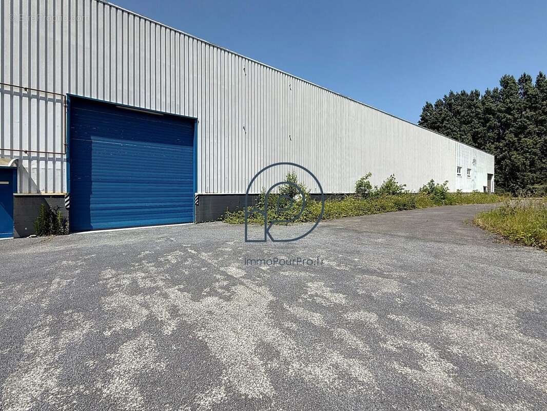 Commerce à NEUVILLE-EN-FERRAIN