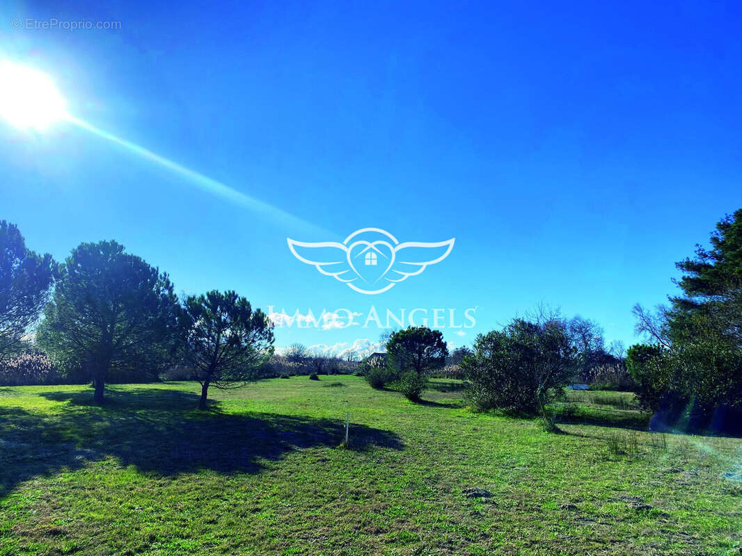 Maison à SAINTES-MARIES-DE-LA-MER