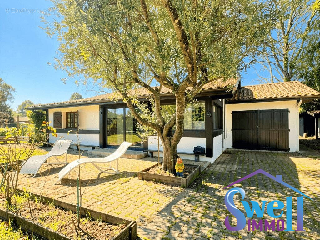 Maison à SAINT-MICHEL-ESCALUS