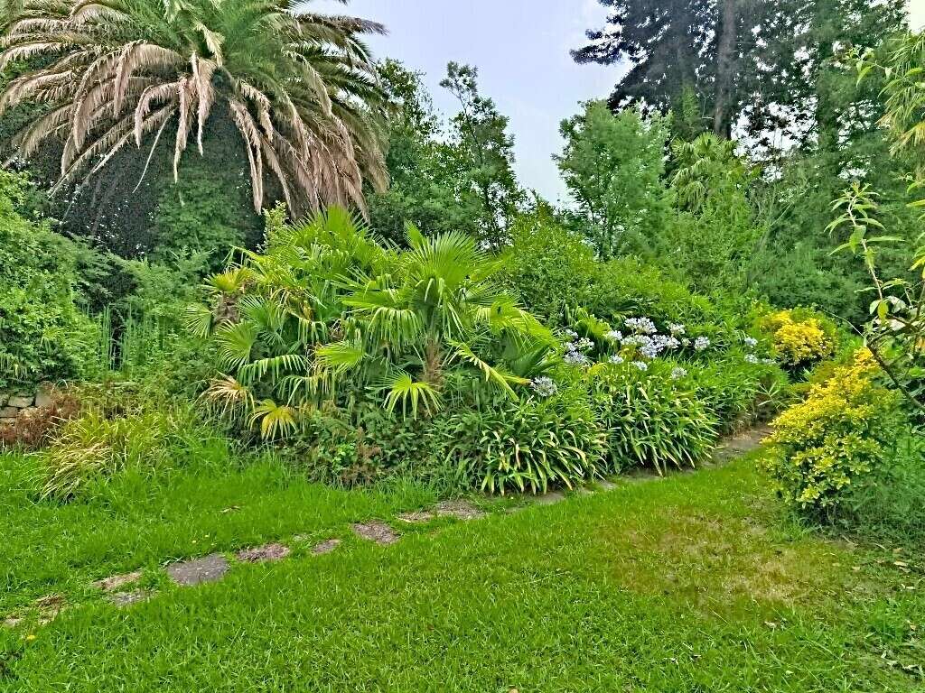 Maison MAÏTRE Salies De Bearn 21 pièce(s) 500 m2 - photo 11