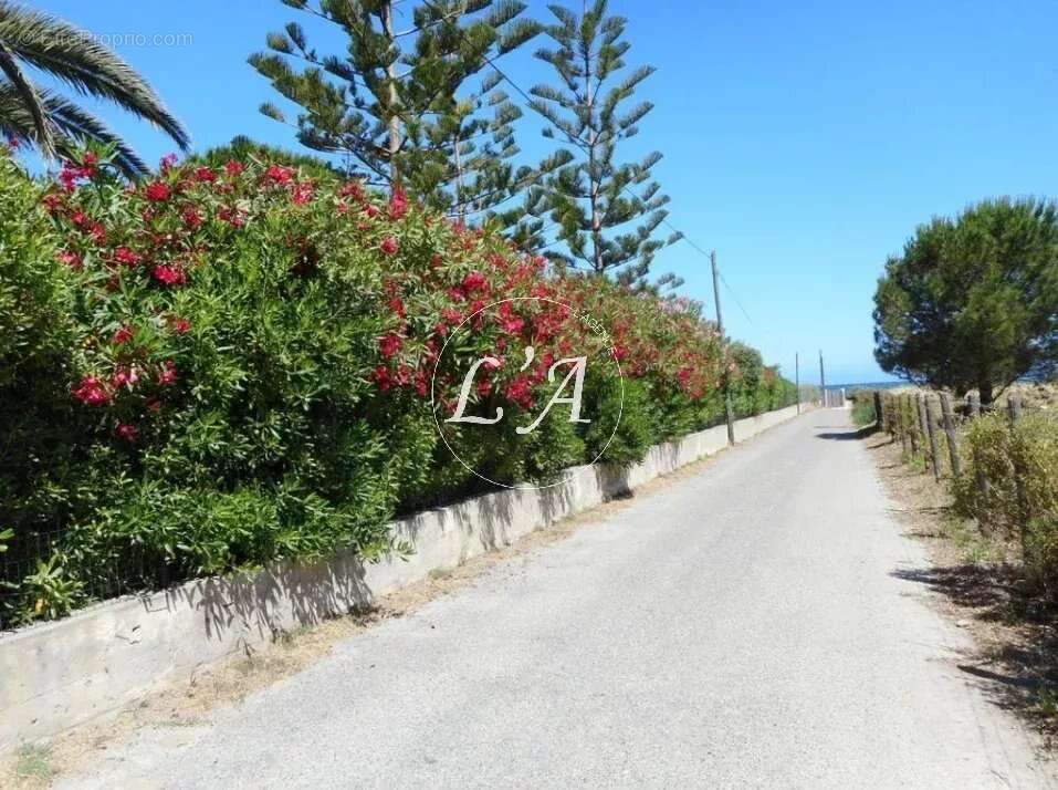 Maison à SAINT-FLORENT