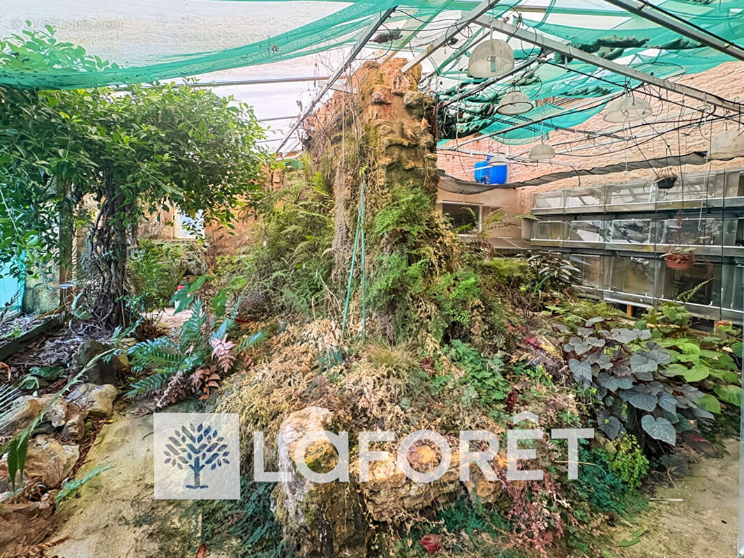 Maison à SAINT-GENIS-DE-SAINTONGE