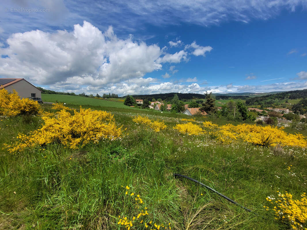 Terrain à LANGOGNE