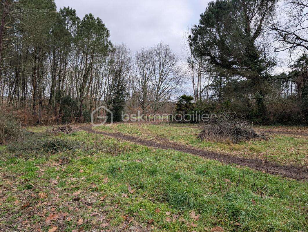 Terrain constructible avec partie boisée - photo 2