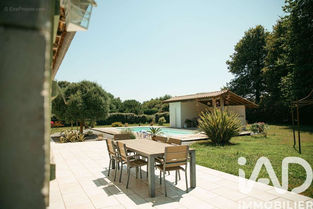 Maison 205 m² à Sort-En-Chalosse  - photo 4